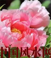 林芝预示你财运上升，姻缘可成的梦境，快来看看吧！