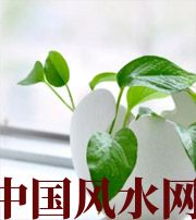 林芝家中摆放六种吉祥物，会打开您的财运大门！