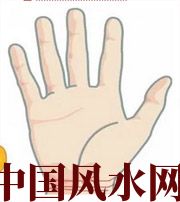 林芝若有此手相，天降横财不一定是梦