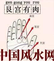 林芝这个地方肉越多，财运就越好