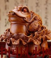 林芝解读金蟾最合适的位置，这样摆放更招财！